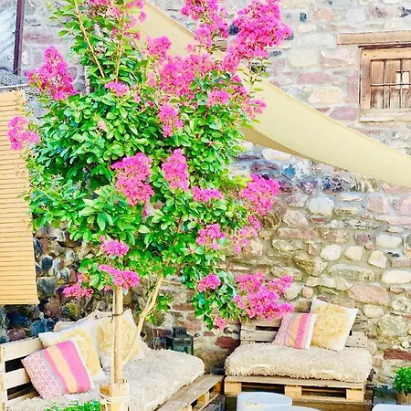 Prázdninový dům La Casita De Cloe San Juan De Plan
